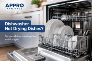 Dishwasher Not Drying Dishes